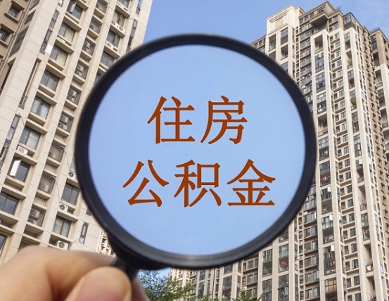泰安退休后查不到公积金明细了吗（退休后公积金查询不到原因）